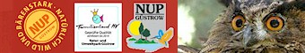 NUB Guestrow